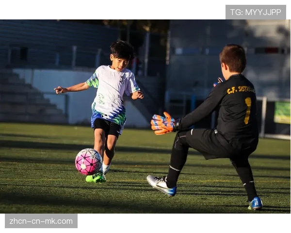 基层报告:西班牙足球协会推广“街头足球复兴计划”,参与人数激增 基层报告:西班牙足球协会推广“街头足球复兴计划”,参与人数激增